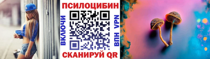 МЕГА сайт  Изобильный  Псилоцибиновые грибы Psilocybe 